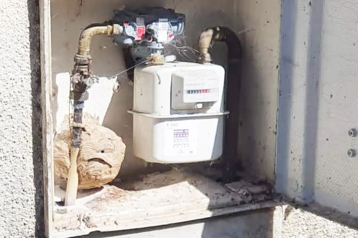 Intervention en interieur et en exterieur