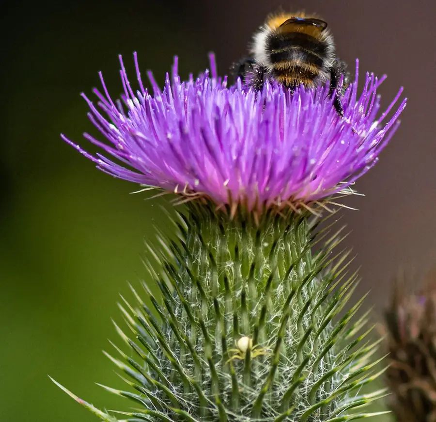 Contactez-nous pour un rendez-vous personnalisé
