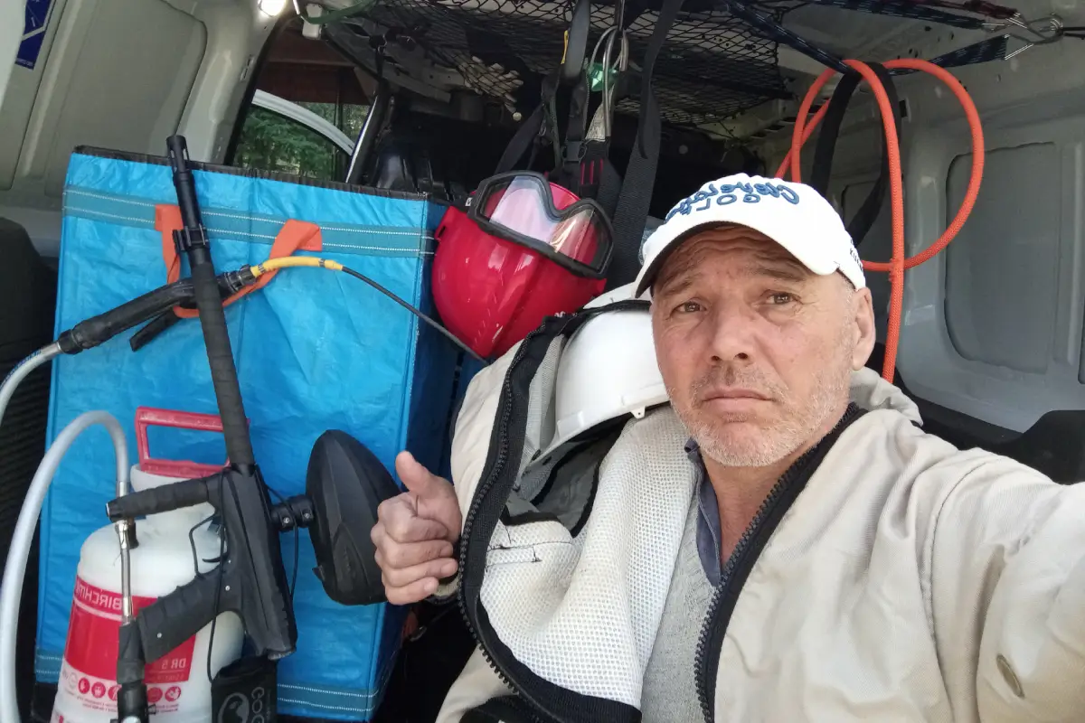 Devis gratuit destruction nid guêpes frelons Mérignac